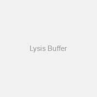 Lysis Buffer